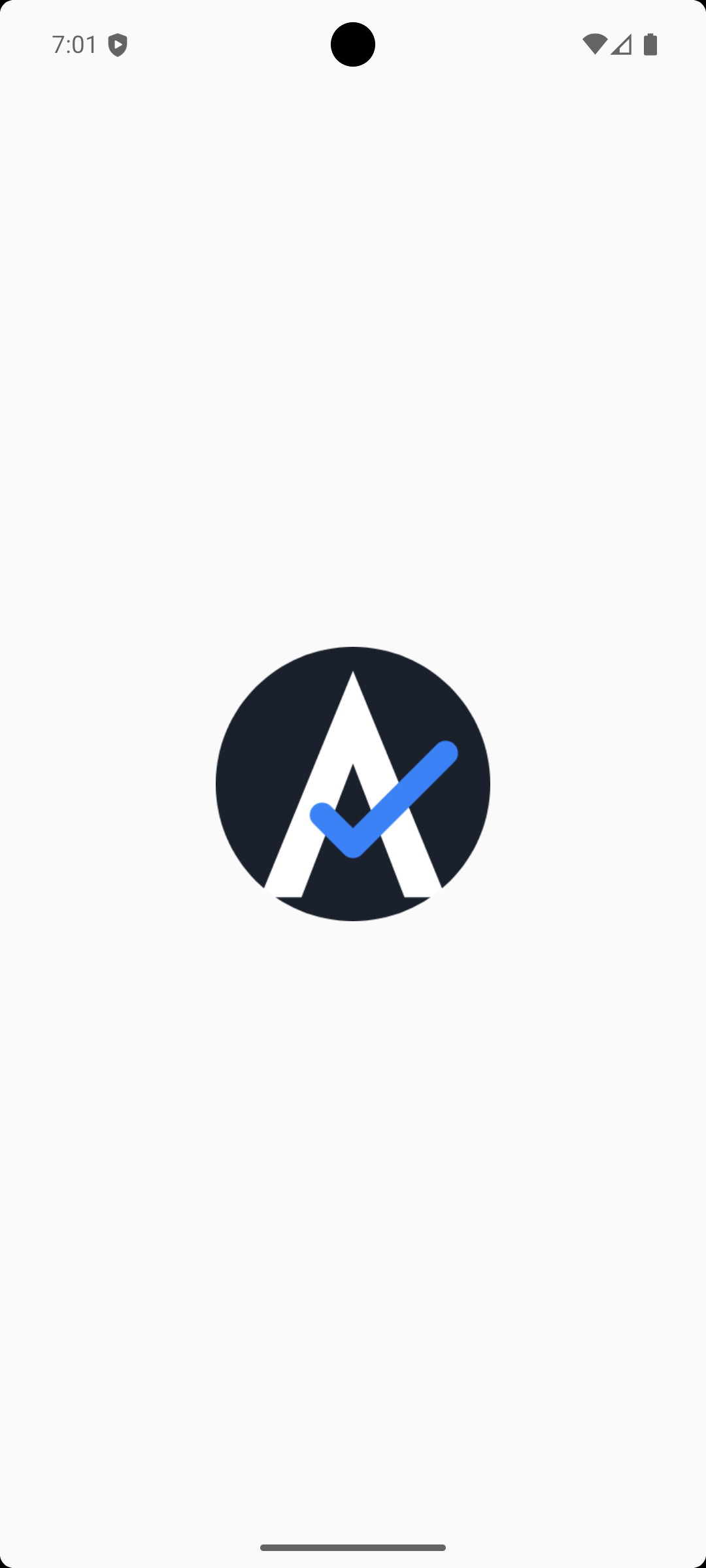 Site Auditor Professional app icon on splash screen